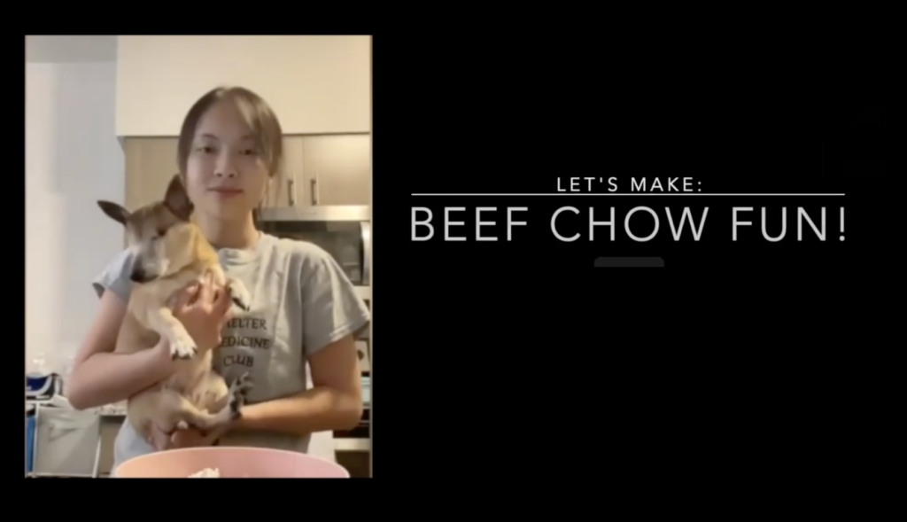 Christine Wakuzawa, LET'S MAKE BEEF CHOW FUN!